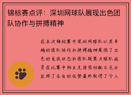 锦标赛点评：深圳网球队展现出色团队协作与拼搏精神