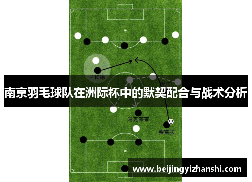 南京羽毛球队在洲际杯中的默契配合与战术分析